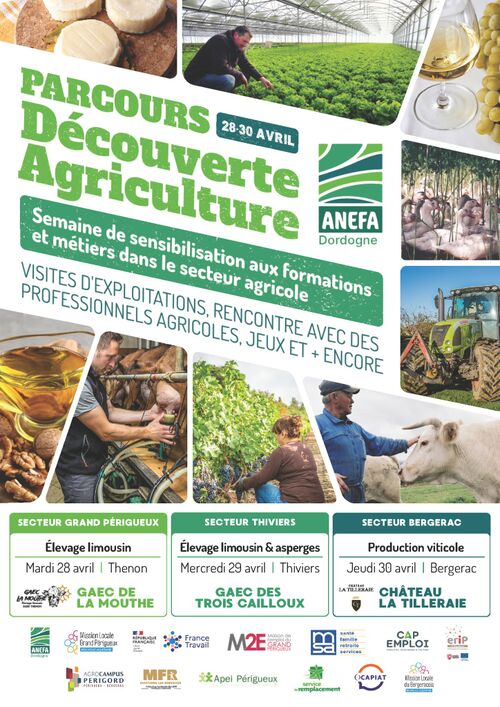 Cliquez pour agrandir l'image